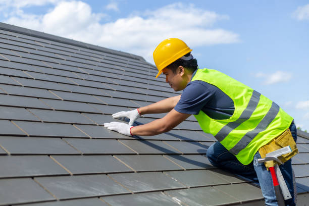Best Roof Moss and Algae Removal  in Alamae, NC