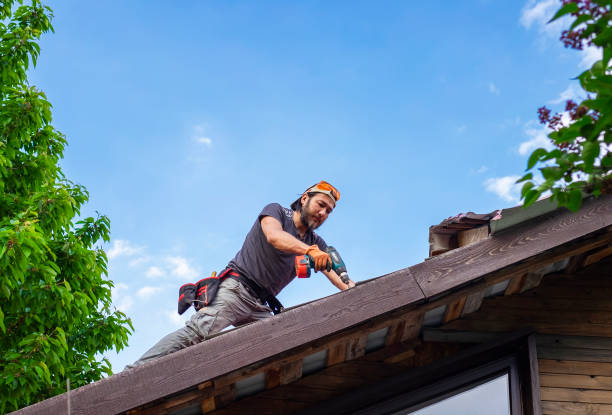 Best Asphalt Shingle Roofing  in Alamae, NC